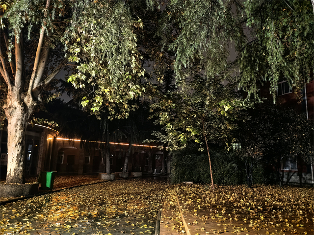 洛陽分層教學的民辦高中 洛陽市東明外語實驗學校供應