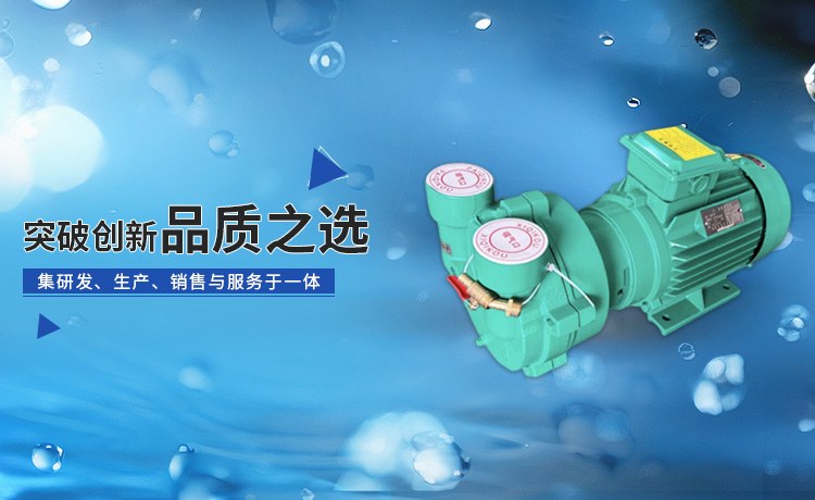 遼寧什么是2BV水環(huán)式真空泵是什么