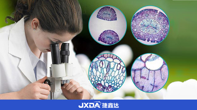 虚拟显微互动教学,显微镜互动