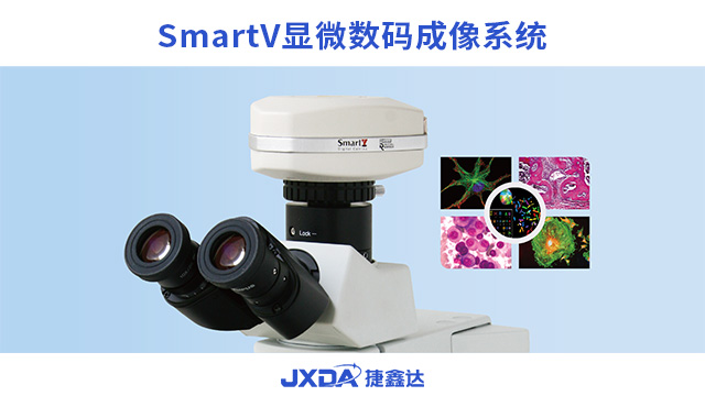 虚拟显微互动教学,显微镜互动