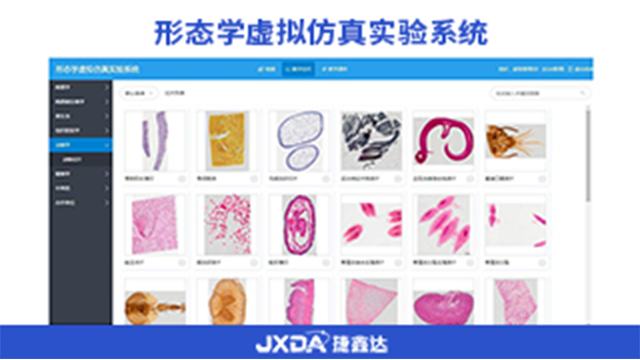 地质材料学显微镜互动在线考试系统,显微镜互动