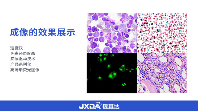 地质材料学显微镜互动在线考试系统,显微镜互动