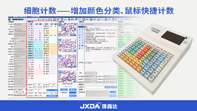 模块化细胞形态学系统集成平台,细胞形态学系统