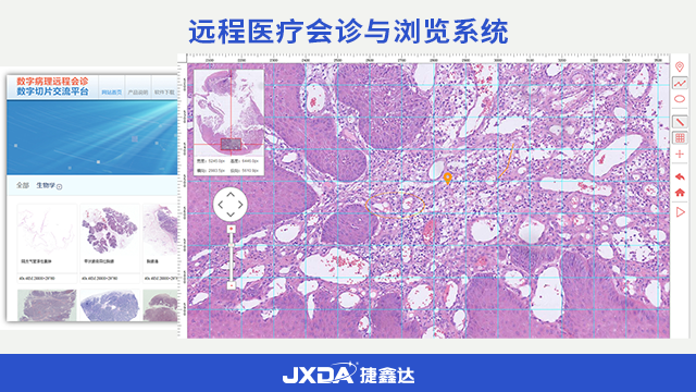 南京细胞图文分析系统定制化服务,细胞形态学系统