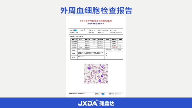 骨髓血液实验室诊断图文报告系统定制,细胞形态学系统