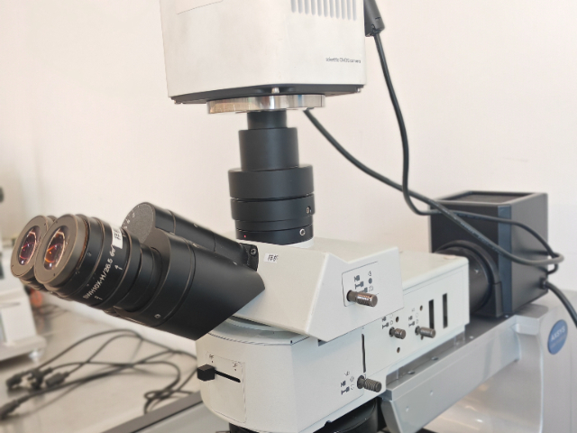 南京三目显微镜定制,显微镜