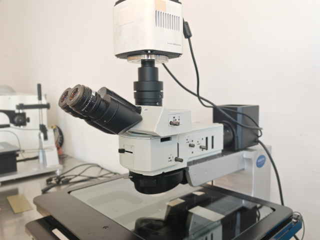 南通荧光显微镜定制,显微镜