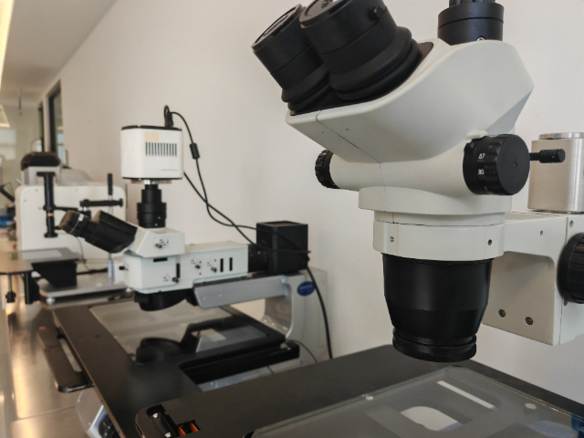 厦门荧光显微镜哪家好,显微镜