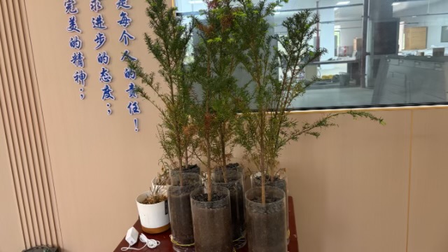 安徽无臭氧负离子系列产品技术支持,负离子系列产品