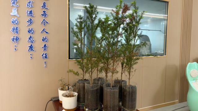 湖南商场负离子系列产品定制,负离子系列产品