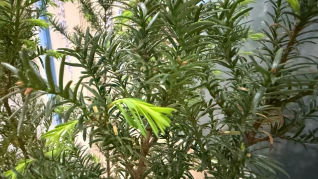 河南卧室负离子系列产品选购指南 时珍智能医疗设备供应