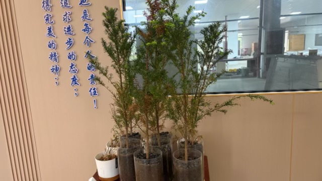 四川卧室负离子系列产品厂家电话,负离子系列产品