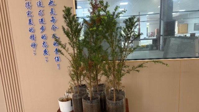 湖南商场负离子系列产品定制,负离子系列产品