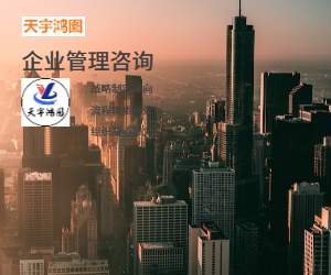 企業(yè)管理咨詢