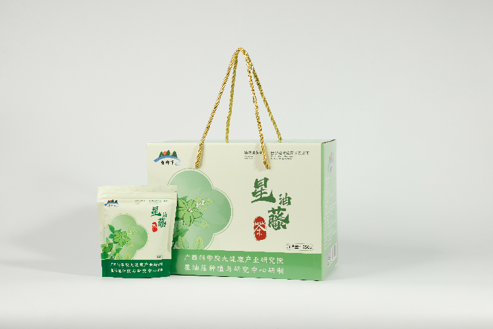 甘肅哪里有星油藤茶加盟