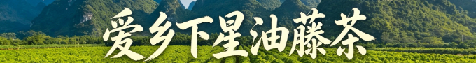 廣西大新愛(ài)鄉(xiāng)下星油藤