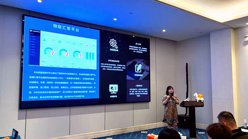 神农架林区智慧桥隧通行安全保障,智慧桥隧