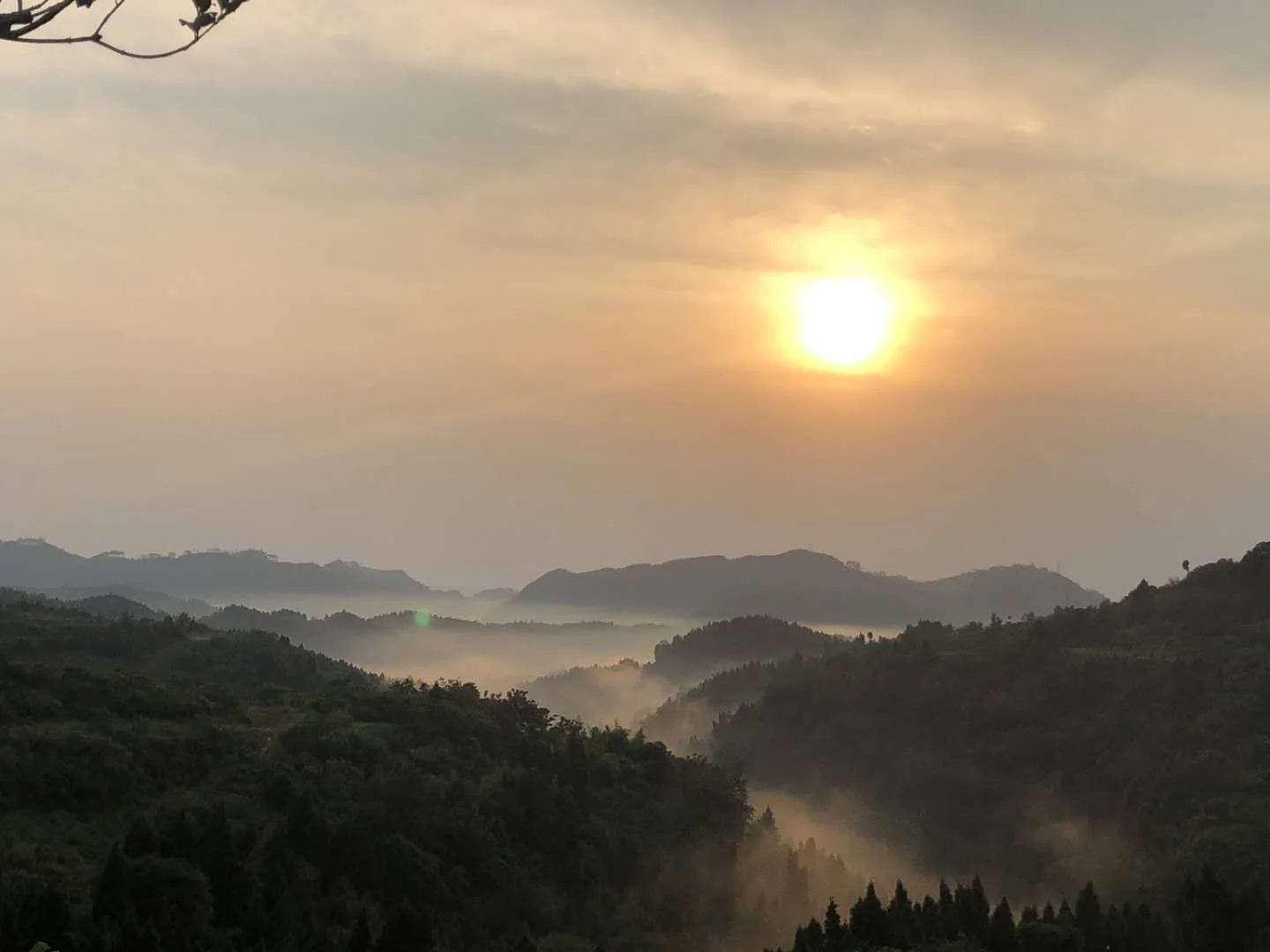 仁壽公墓價格：品質(zhì)墓地選擇，價格合理透明