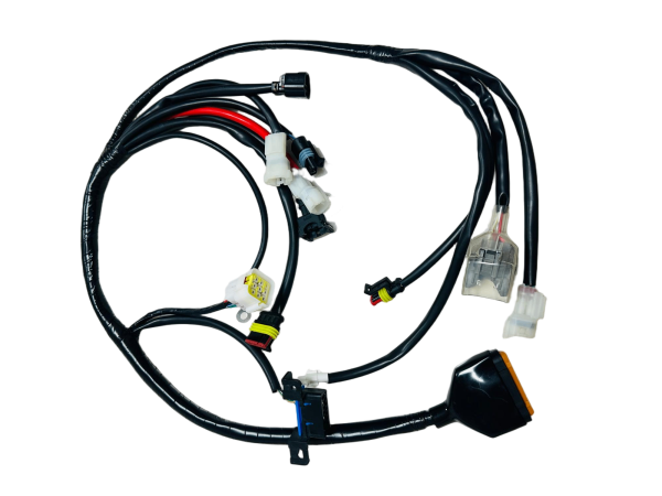 摩托車(chē)線(xiàn)束