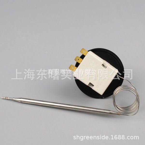德國(guó)EGO 40度 55.13202.340 （0- 40度，探頭6Φ 147mm ，單極雙投，常開(kāi)、常閉）