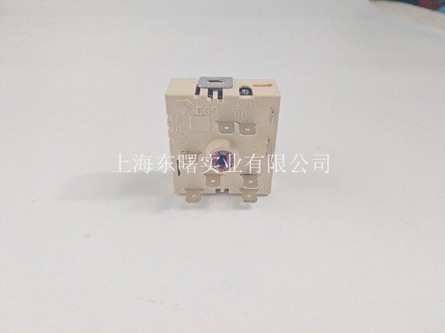 德国品牌温控器现货,温控器