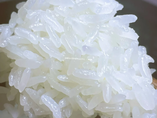 上海高科技大米包裝