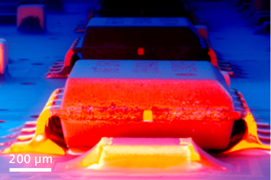 蔡司EVO應(yīng)用案例：半導(dǎo)體與電子元器件