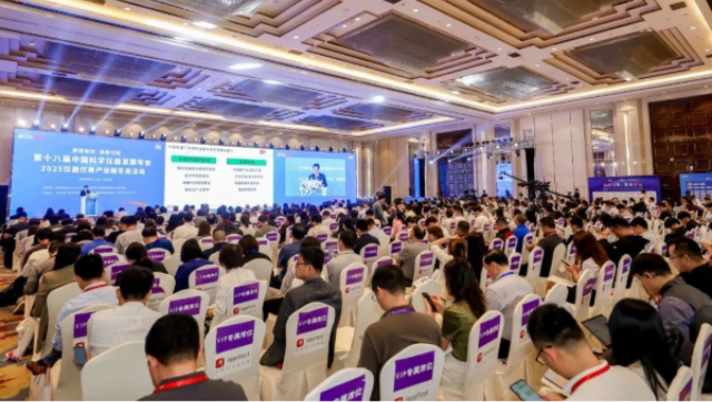 南京音叉密度計代加工 值得信賴 中國道威斯頓供應(yīng)