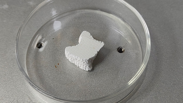 生物3d打印機(jī) 價格 深圳森工科技供應(yīng)