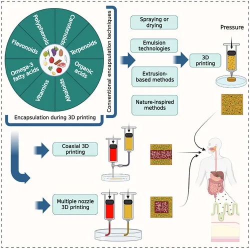 學(xué)術(shù)分享丨設(shè)計(jì)未來(lái)食品：利用食品3D打印技術(shù)封裝生物活性化合物