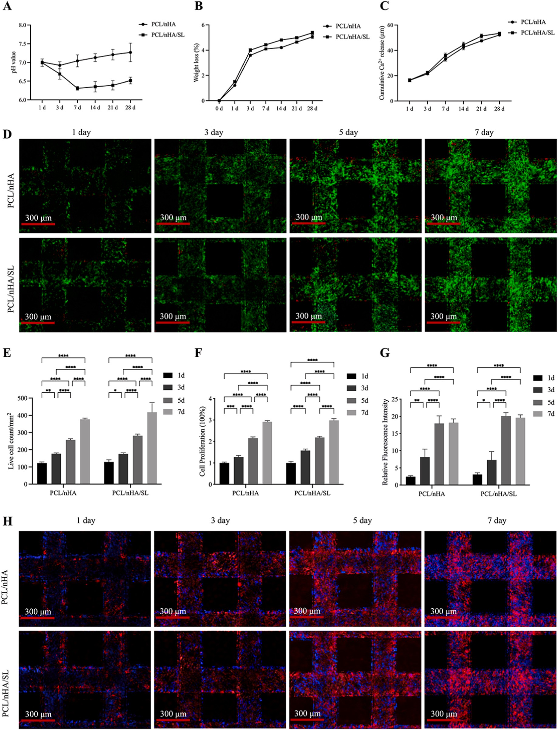 學(xué)術(shù)分享 I 乳酸功能化3D打印PCL/nHA支架通過(guò)代謝-表觀遺傳串?dāng)_驅(qū)動(dòng)骨髓間充質(zhì)干細(xì)胞成骨分化