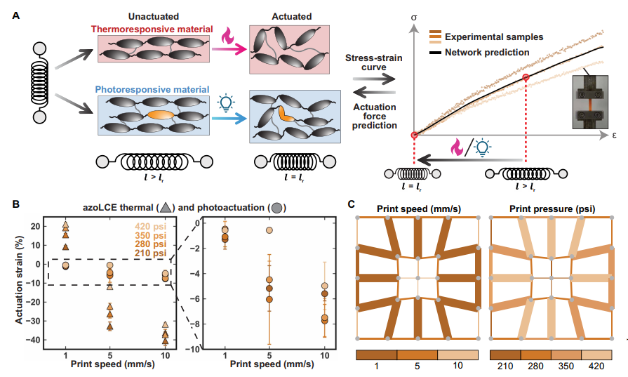 學(xué)術(shù)分享 I 利用DIW墨水直寫3D打印制備光熱多刺激響應(yīng)液晶彈性體的研究