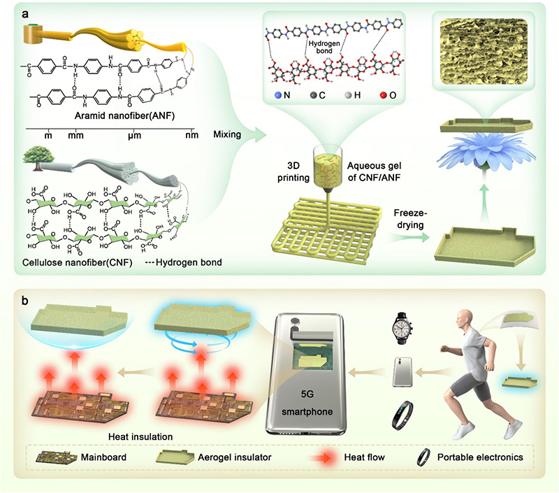 學(xué)術(shù)分享 I DIW直寫3D打印可塑形納米纖維素/芳綸納米纖維復(fù)合氣凝膠用于便攜式電子設(shè)備隔熱