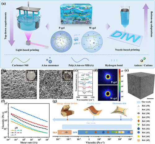 學(xué)術(shù)分享 I 基于可控微相分離策略、適用于液/固相3D打印的多功能水凝膠研究