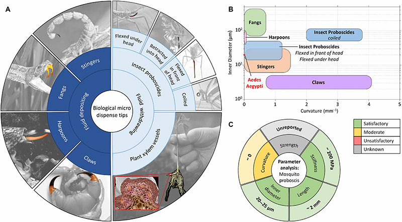 學(xué)術(shù)分享 I 3D死靈打?。豪蒙锊牧献鳛?D打印噴嘴的創(chuàng)新技術(shù)