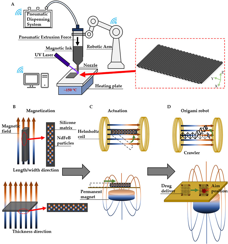 學(xué)術(shù)分享 I 3D打印軟磁折紙驅(qū)動(dòng)器用于無(wú)創(chuàng)靶向給藥及爬行機(jī)器人