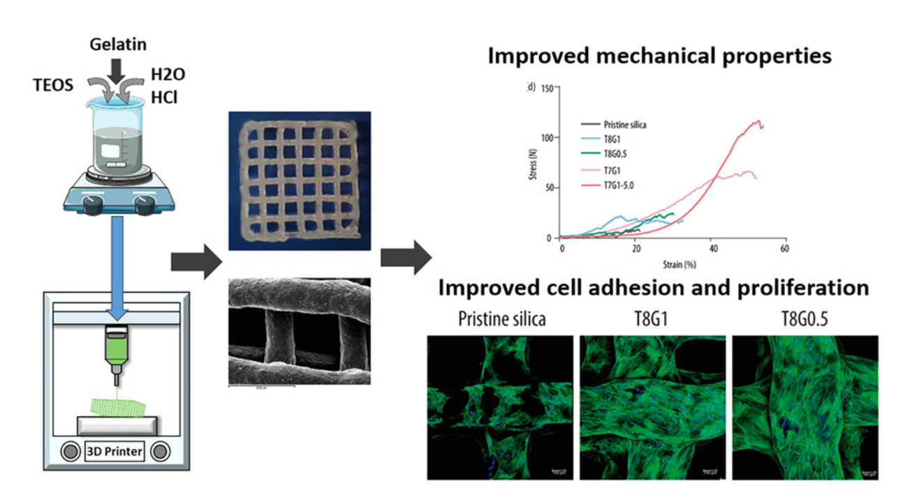 兼顧生物活性與力學(xué)性能：硅 - 明膠交聯(lián)復(fù)合 3D 打印骨支架研發(fā)
