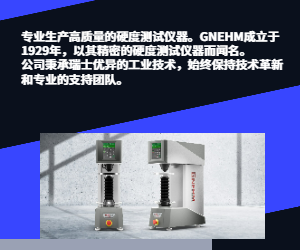 GNEHM SWISSVICK SV10