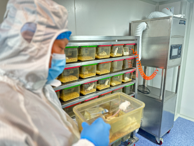 南京低益菌濃度臨床前藥效哪家好 南京燦辰微生物科技供應(yīng)