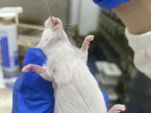微生物檢測安裝