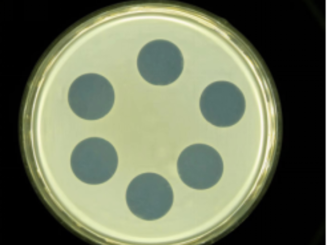 南京效價(jià)微生物檢測(cè)設(shè)備 歡迎咨詢 南京燦辰微生物科技供應(yīng)