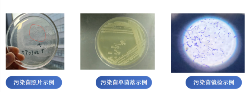 成都純化水檢測微生物檢測有限公司