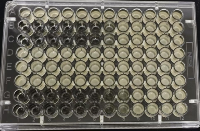 南京BCC微生物檢測儀器 來電咨詢 南京燦辰微生物科技供應;