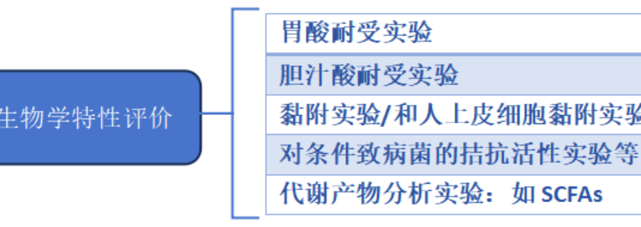 上海短鏈脂肪酸（SCFA）含量益生菌功效檢測(cè)作用