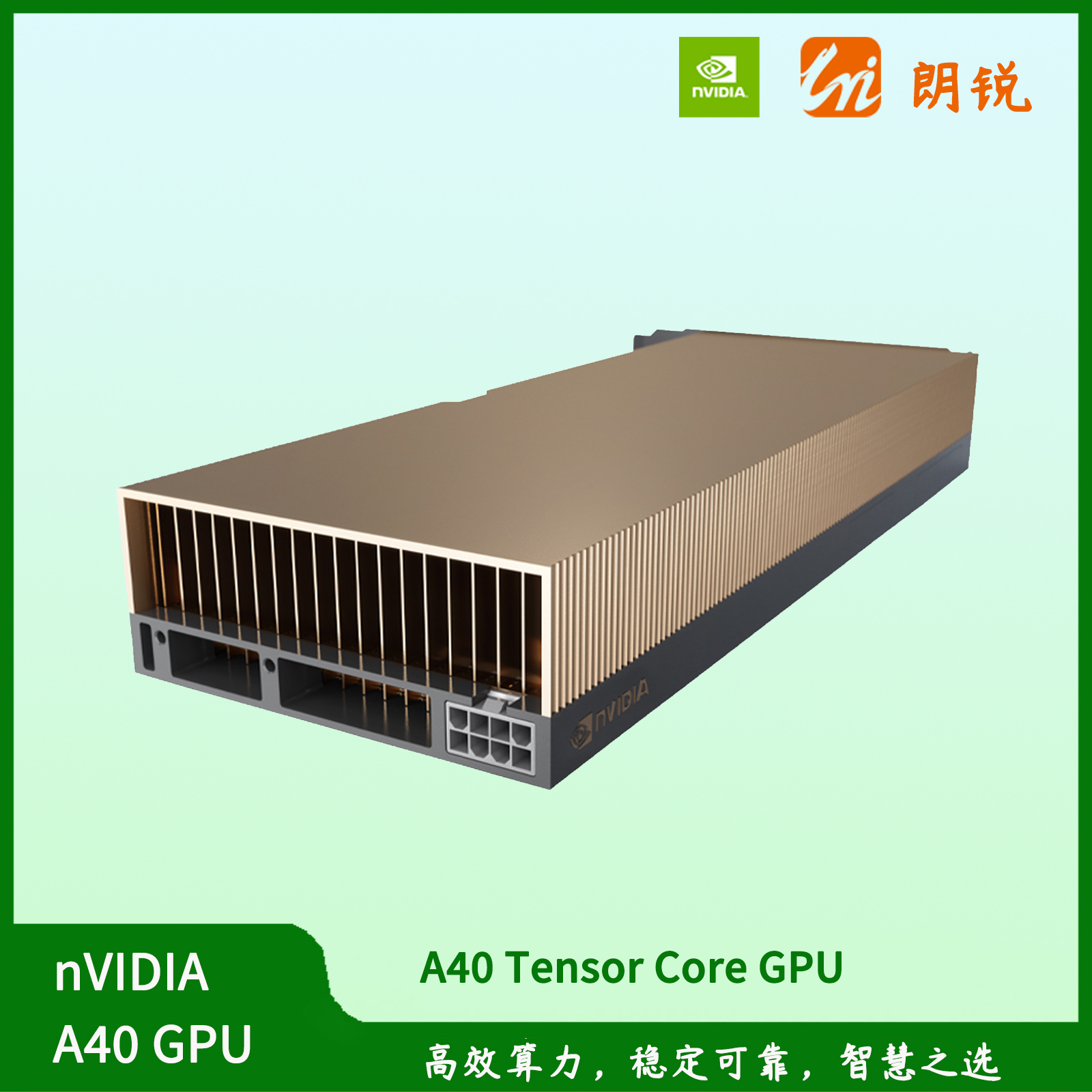 NVIDIA A40 GPU 
