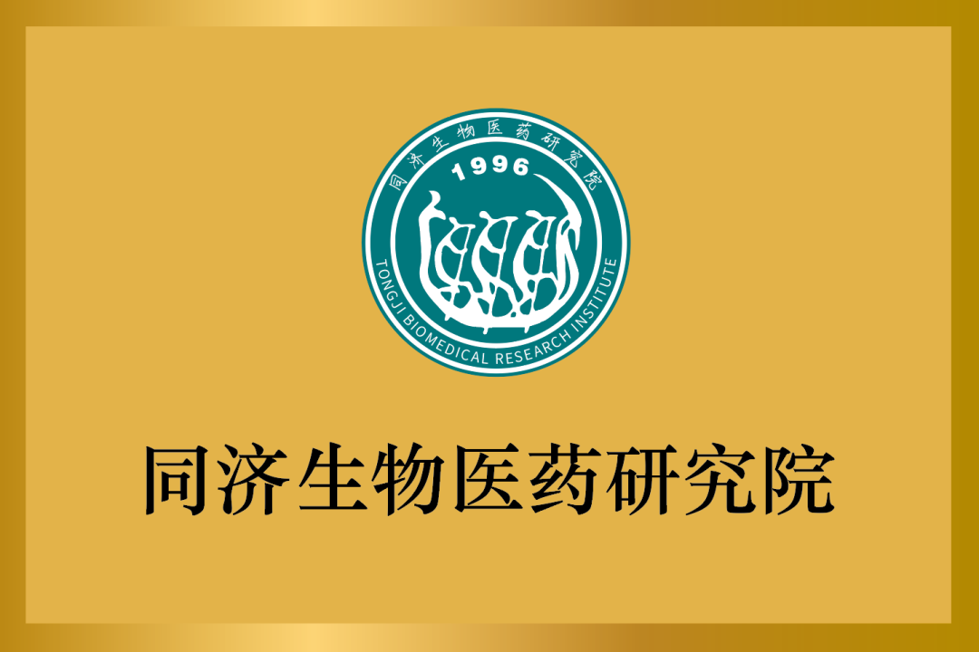 鍚屾祹绉戞櫘涓ㄧ缁忛吀#鑴戝仴搴峰姛鑳介鍝佽В鍐虫柟妗