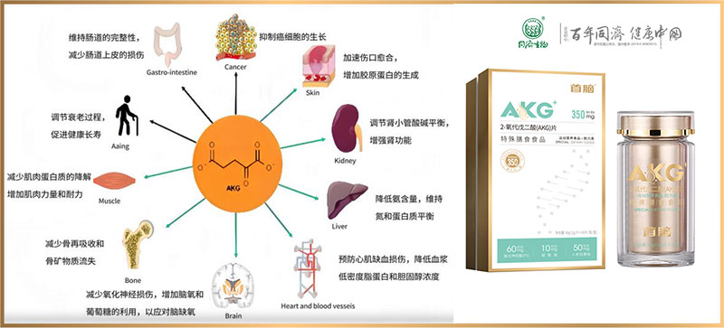 首腦AKG特膳片：科學對抗代謝綜合征，開啟健康新篇章