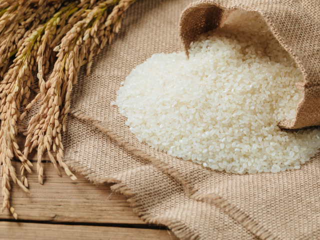 東莞工廠生鮮批發(fā)配送哪家強(qiáng) 廣東華洲農(nóng)產(chǎn)品配送服務(wù)供應(yīng)