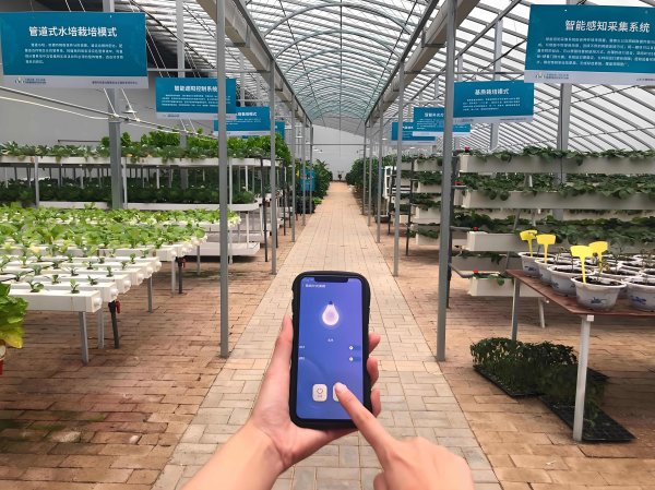 智慧大棚控制管理系統(tǒng)