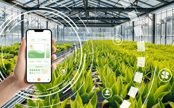 智慧大棚控制管理系統(tǒng)